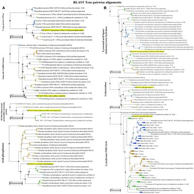 The Impact of Protozoan Predation on the Pathogenicity of Vibrio cholerae